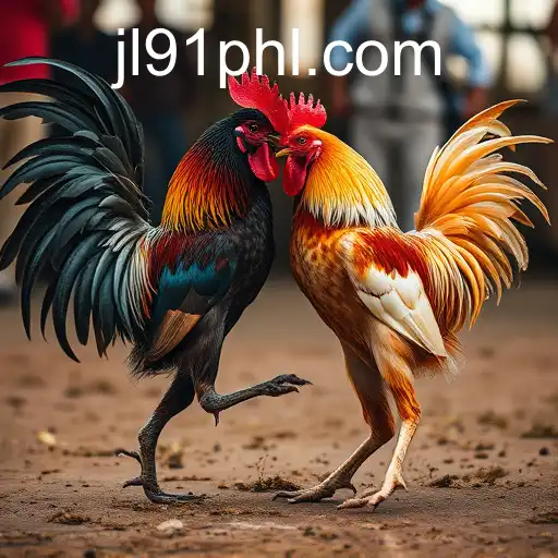 VIP Service jl91bet - 24/7 Support and Exclusive Benefits